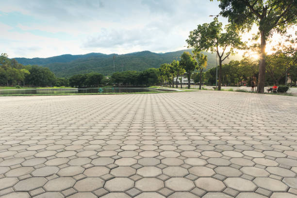 Best Driveway Paving Company  in Lewisburg, TN