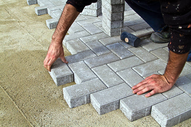 Best Custom Driveway Pavers  in Lewisburg, TN
